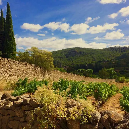 Maison Bacchus *
